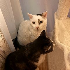 30位のイメージ