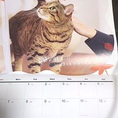 114位のイメージ