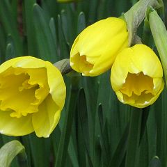 124位のイメージ