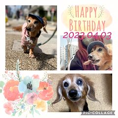 124位のイメージ