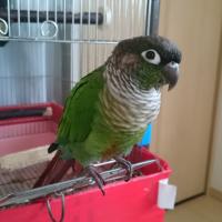 115位のイメージ