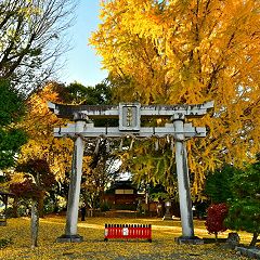 159位のイメージ