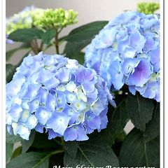 119位のイメージ