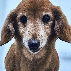 86位のイメージ