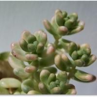 36位のイメージ