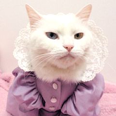 113位のイメージ