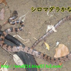 28位のイメージ