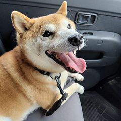 82位のイメージ