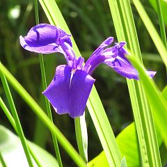 77位のイメージ