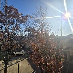 98位のイメージ