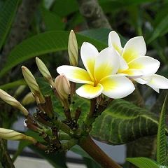 24位のイメージ