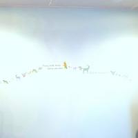 17位のイメージ