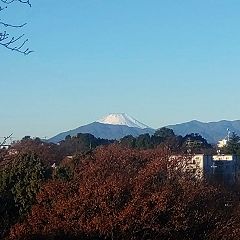 22位のイメージ