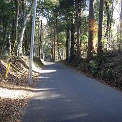 86位のイメージ