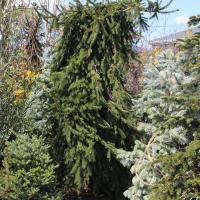 10位のイメージ