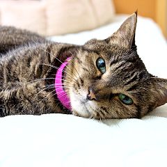 119位のイメージ