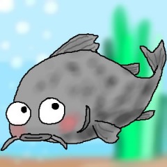 28位のイメージ