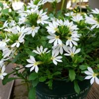 163位のイメージ