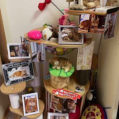 23位のイメージ