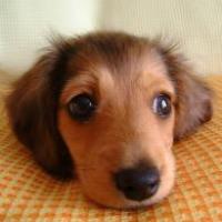 22位のイメージ