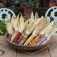 292位のイメージ