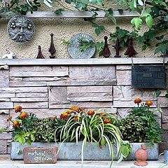 284位のイメージ