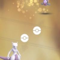 13位のイメージ