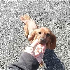 13位のイメージ