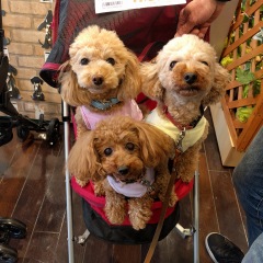 17位のイメージ