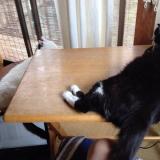 26位のイメージ