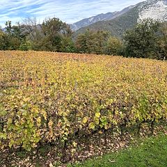 10位のイメージ