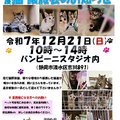 10位のイメージ