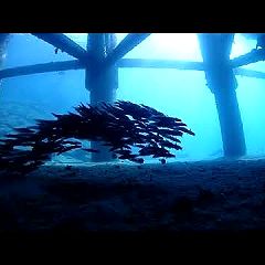 60位のイメージ