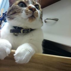 27位のイメージ