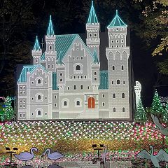 62位のイメージ