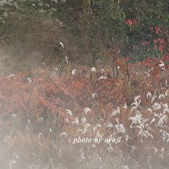 162位のイメージ