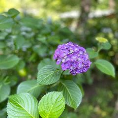 19位のイメージ