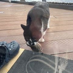 26位のイメージ