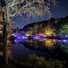 78位のイメージ