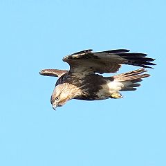 116位のイメージ