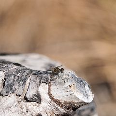 107位のイメージ