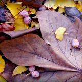 505位のイメージ