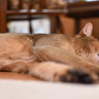 11位のイメージ