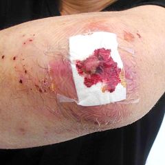 255位のイメージ