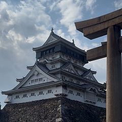 14位のイメージ