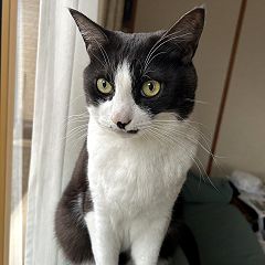 58位のイメージ