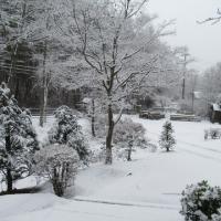 18位のイメージ