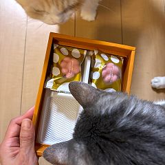 461位のイメージ