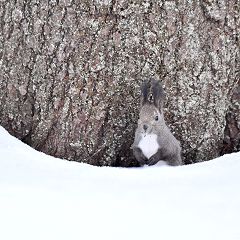 43位のイメージ