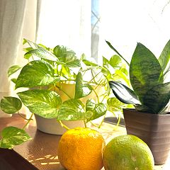 34位のイメージ